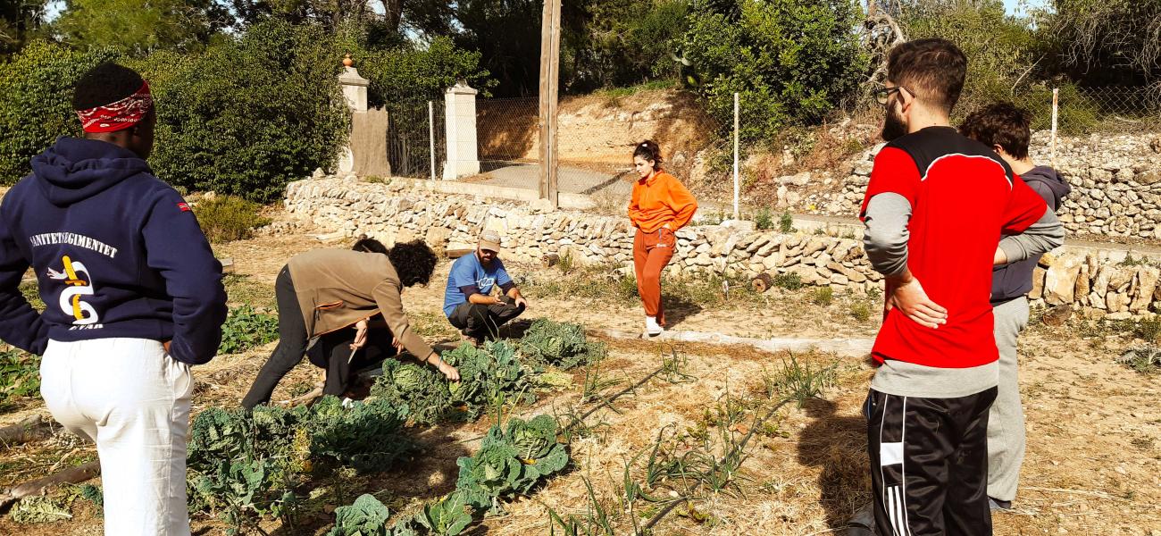 Cos Europeu de Solidaritat_Voluntariat en grup_Obre't Ebre