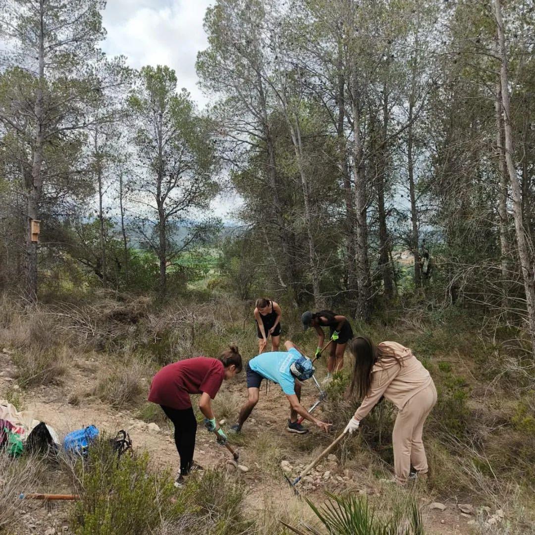 CES - Voluntariat d'equip Tivenys