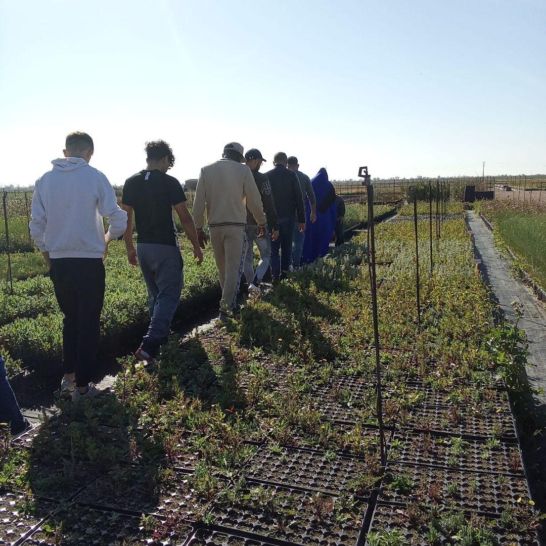 Projecte Mas Social - Agricultura ecològica