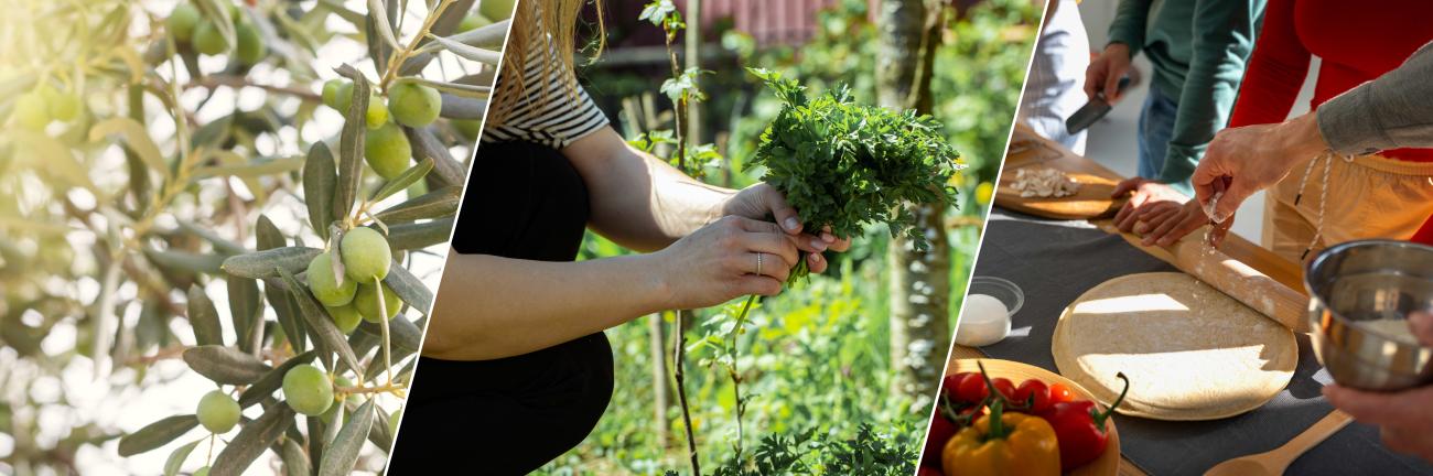 Visita guida i tallers_Participa_Obre't Ebre