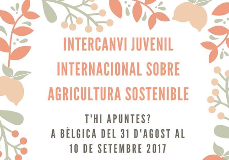 intercanvi_juvenil_obretebre.jpg